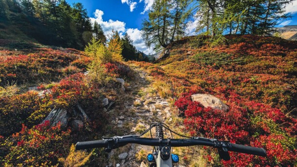 MTB Autunno