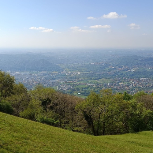 IMG_20260423_111941