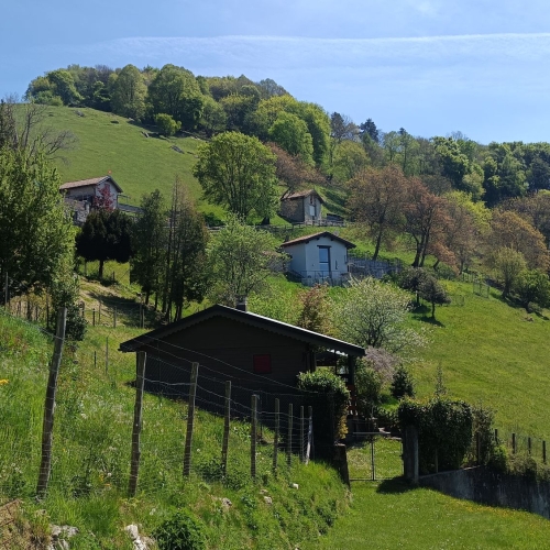IMG_20260423_133807