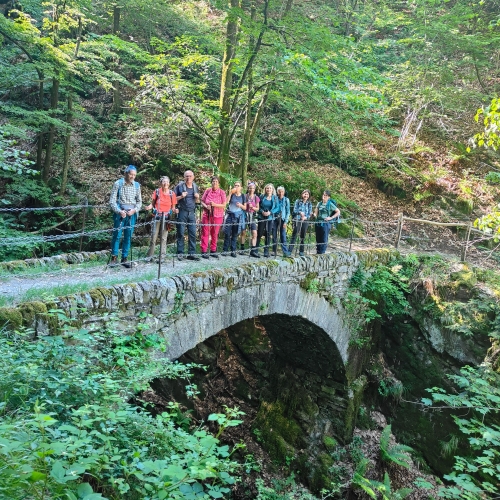 IMG20250529094101
