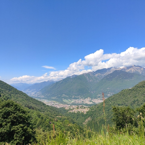 IMG20260509115951