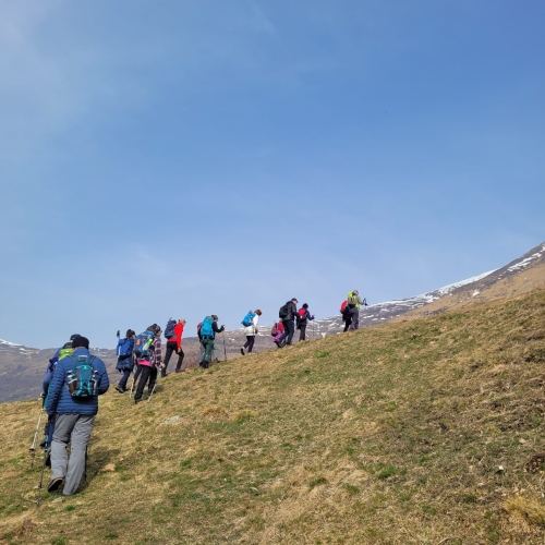 IMG-20260309-WA0013