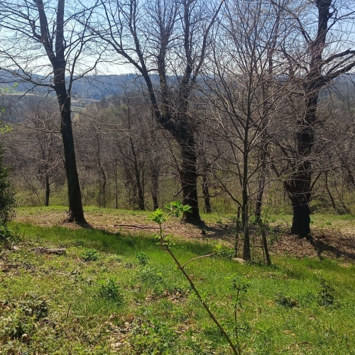 IMG_20260402_140014