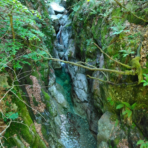 IMG20260509104114 1