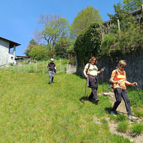 IMG_20260423_133930