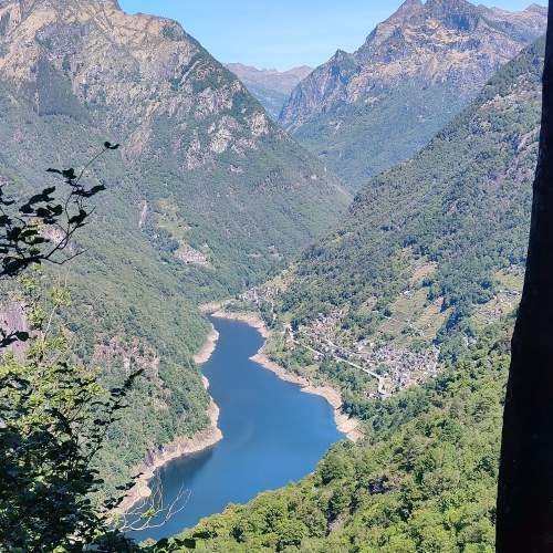 IMG20250529110809