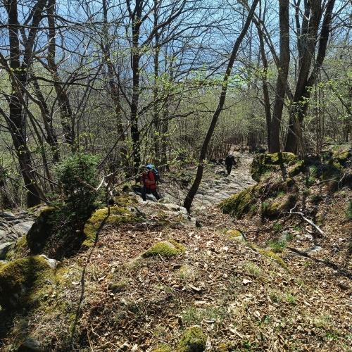 IMG_20260411_103726_655