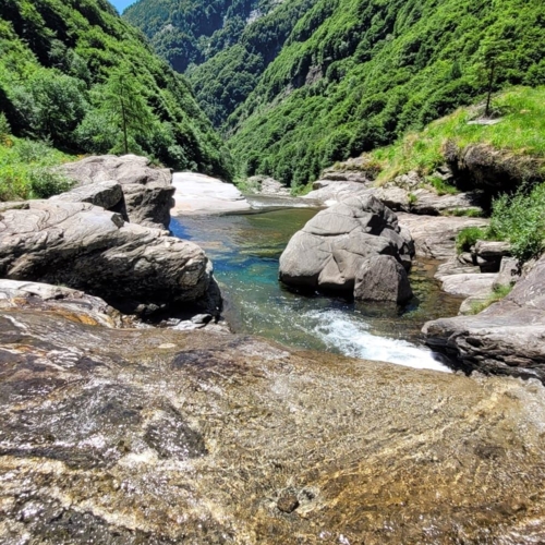 1000479622
