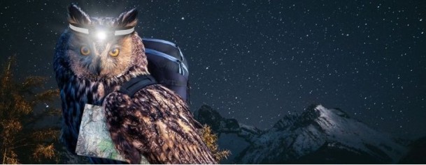 Screenshot_7-7-2025_113720_
