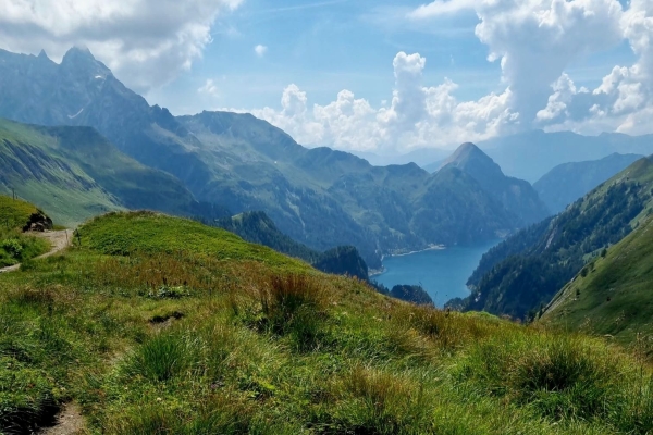 La Greina salvata dalla Bellezza e dall’Arte.