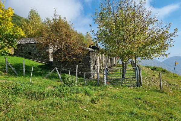 Mugena, svoltando per l'Alpe Agario