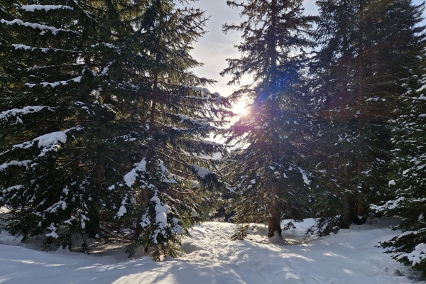 Magia d’inverno in Leventina