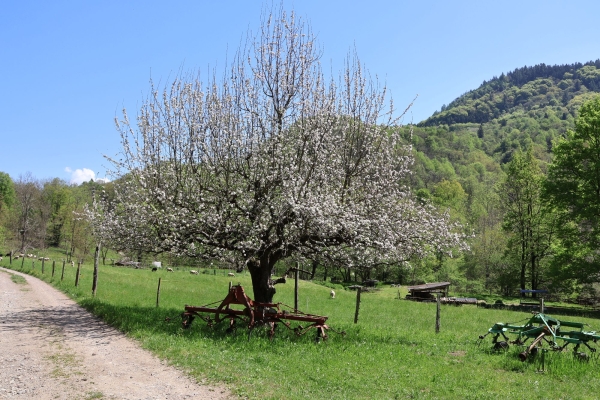 Sentiero delle Meraviglie – percorso didattico
