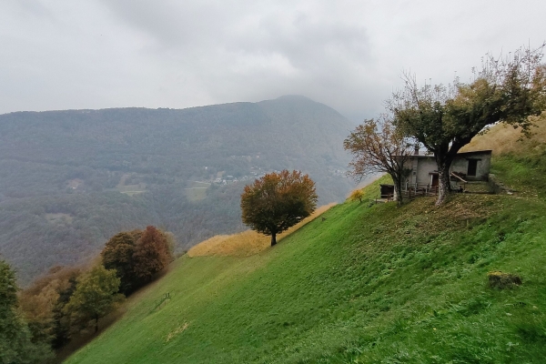 Inseguendo la Via dell'Acqua