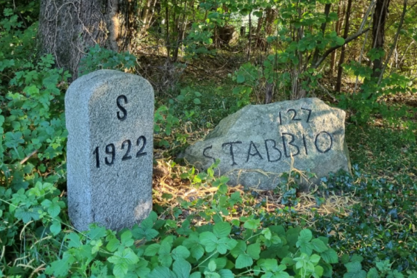 I vigneti del Mendrisiotto: una buona ripartenza primaverile