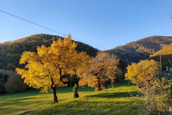 Nella valle dell’Oppio (dal latino Opulus = acero campestre)