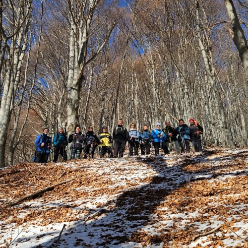 Immagine WhatsApp 2025-11-24 ore 21