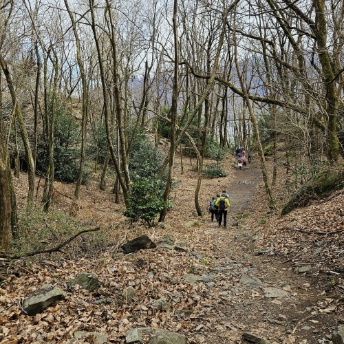 IMG-20250329-WA0032