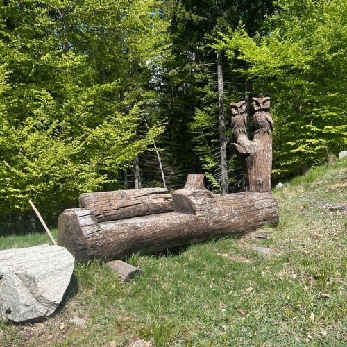 IMG-20250501-WA0028