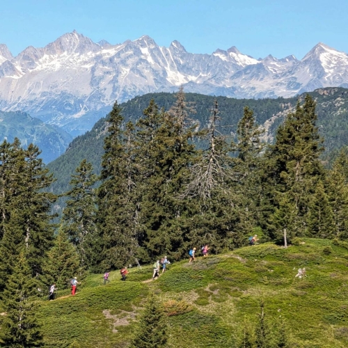 IMG-20250629-WA0034