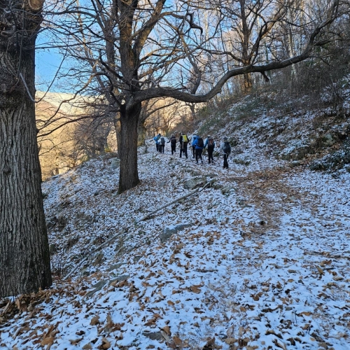 Immagine WhatsApp 2025-11-24 ore 21