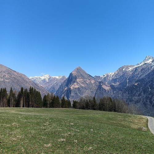 IMG_20260411_124406_662