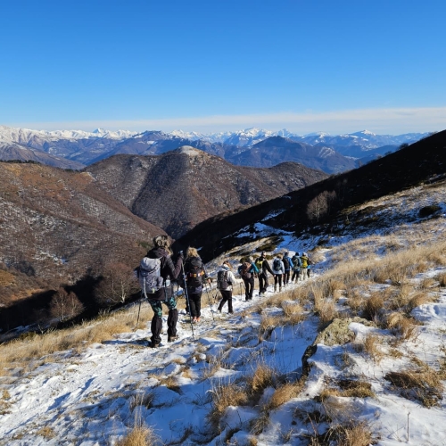 Immagine WhatsApp 2025-11-24 ore 21