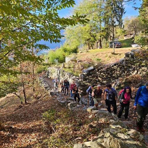 20251025_094943@trottolaTI