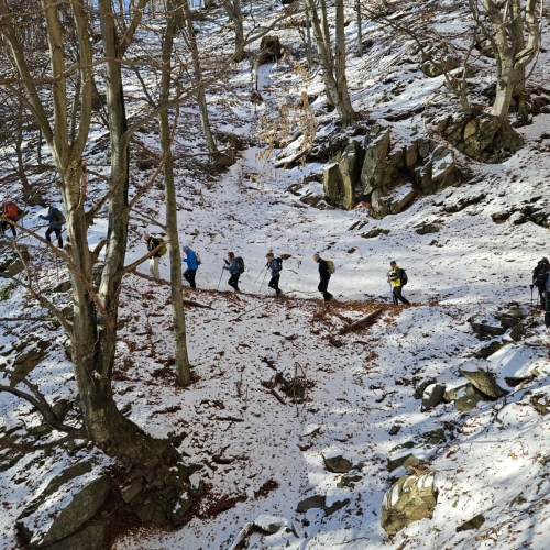 Immagine WhatsApp 2025-11-24 ore 21